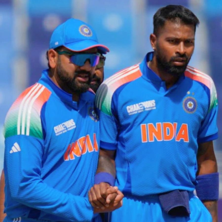 picture of cricket