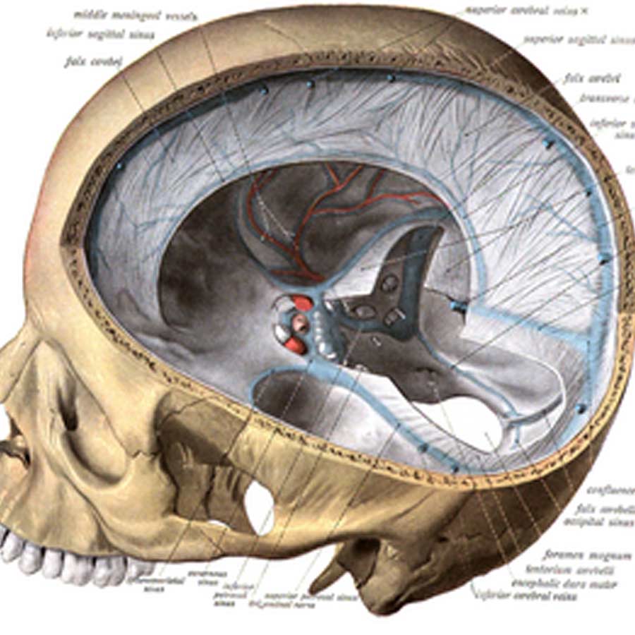 World’s First Approved Brain-Computer Interface Set to Challenge Elon Musk’s Neuralink