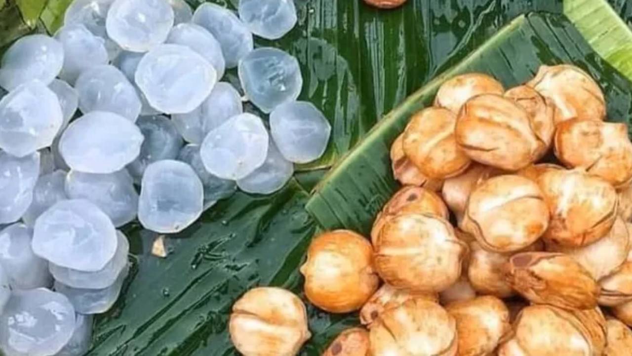 তালশাঁসের উপকারিতা।