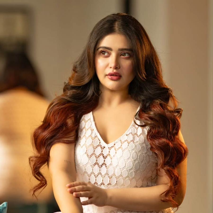 কোন অভিজ্ঞতা ভাগ করে নিলেন এনা সাহা?