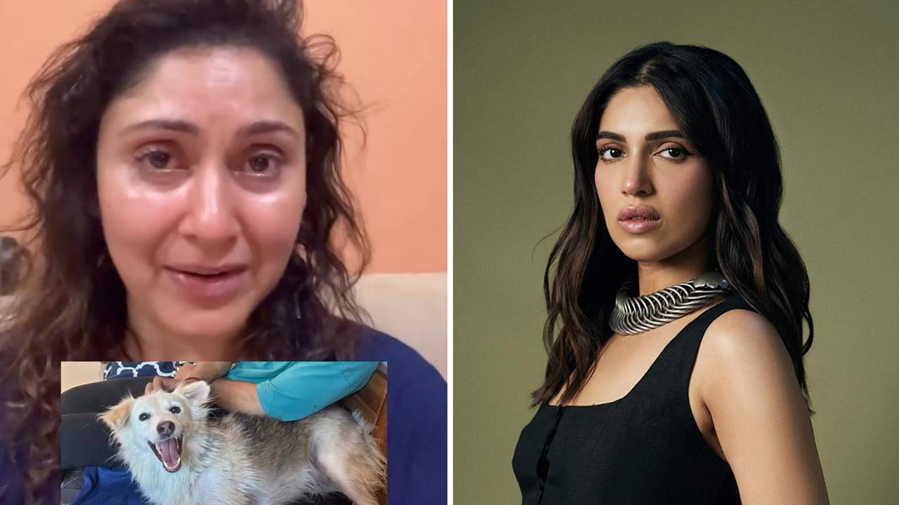 Bhumi Pednekar reacted to Manjari Fadnnis’s video on her pet dog