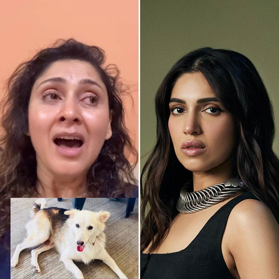 Bhumi Pednekar reacted to Manjari Fadnnis’s video on her pet dog