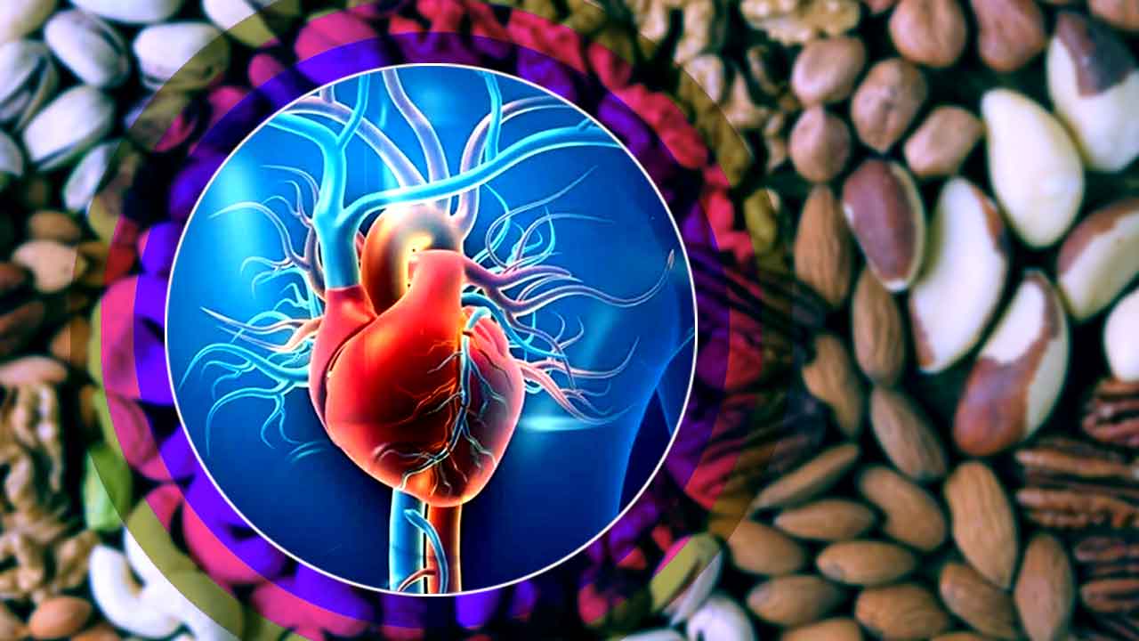 Which nut should you include in your diet to keep your heart healthy and also improve memory