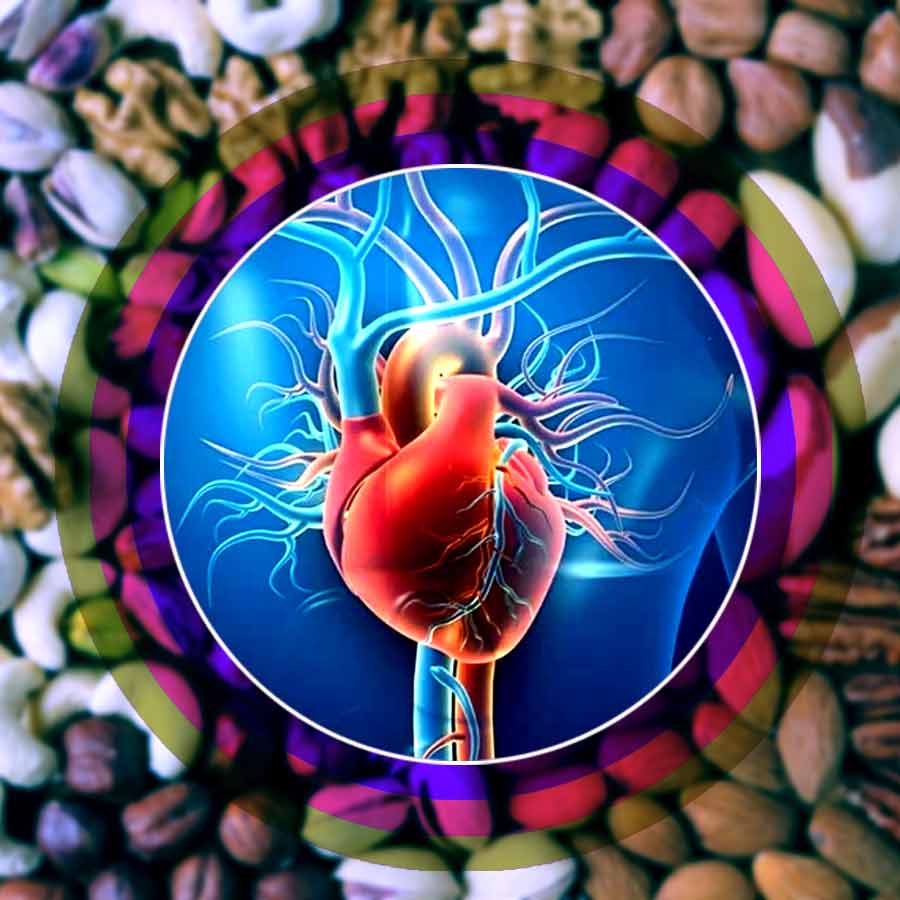Which nut should you include in your diet to keep your heart healthy and also improve memory