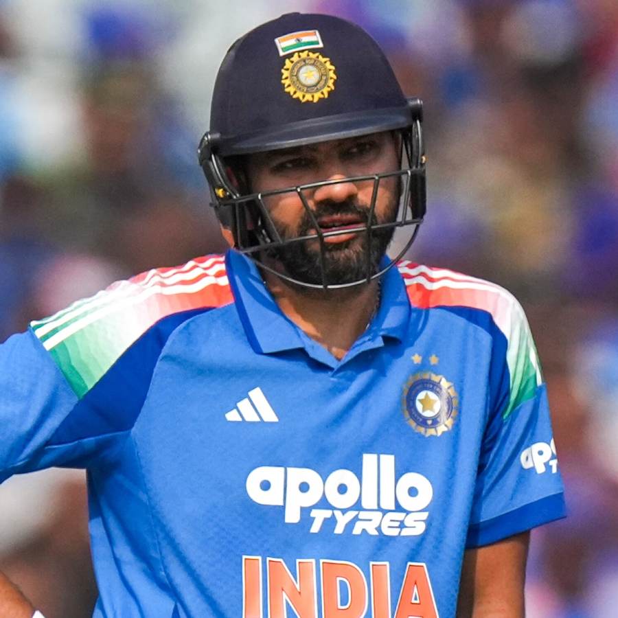 picture of cricket
