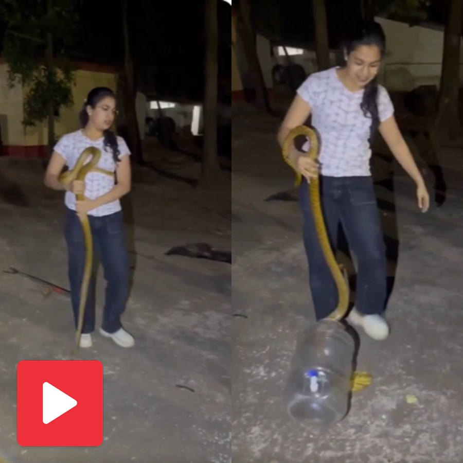 Video shows woman rescuing snake like a rope