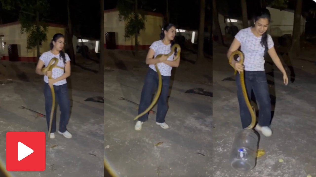 Video shows woman rescuing snake like a rope