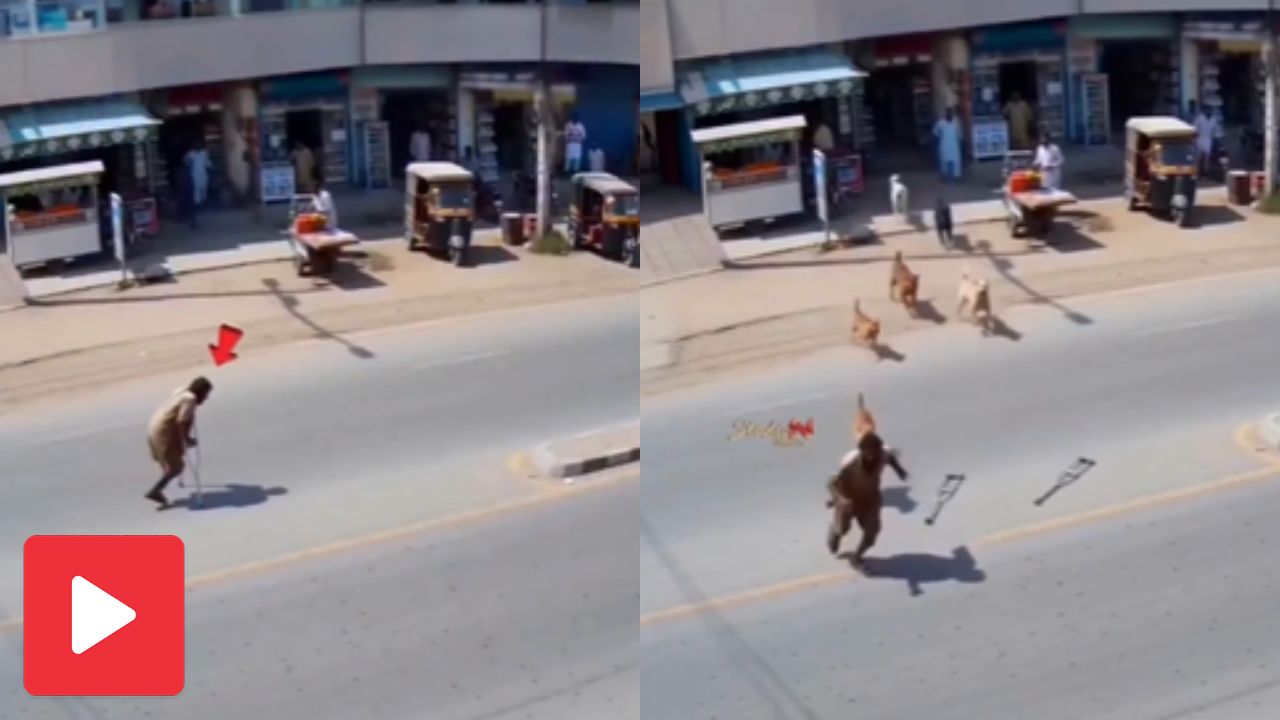 Video shows fake disabled beggar started running after group of dog chase him
