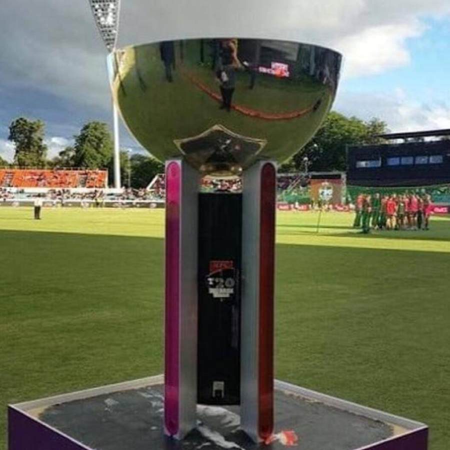 picture of cricket