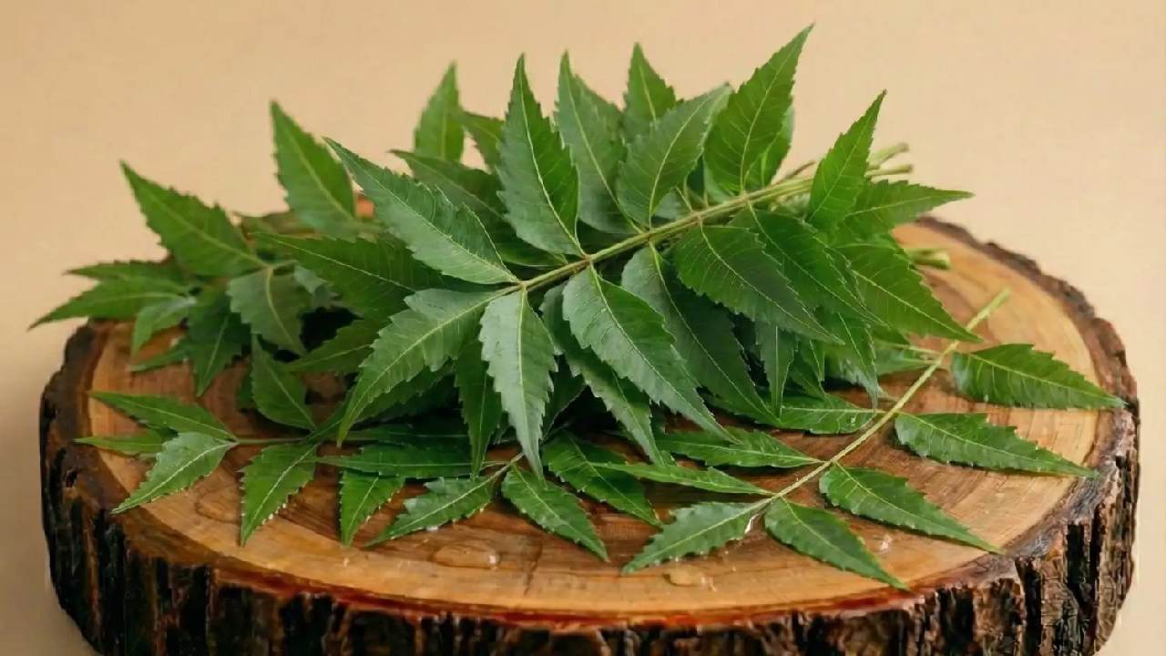 নিমপাতা দিয়ে কী ভাবে ত্বকচর্চা করবেন?
