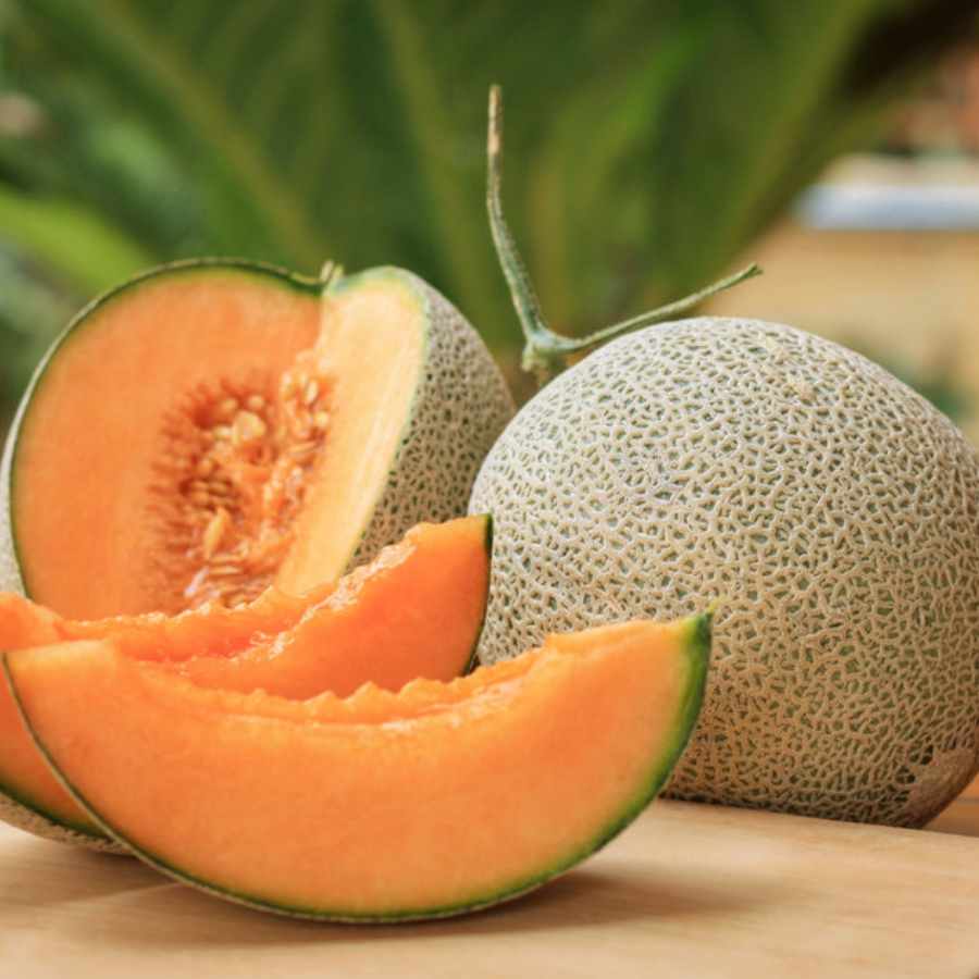 জাপানের ইউবারি কিং মেলন