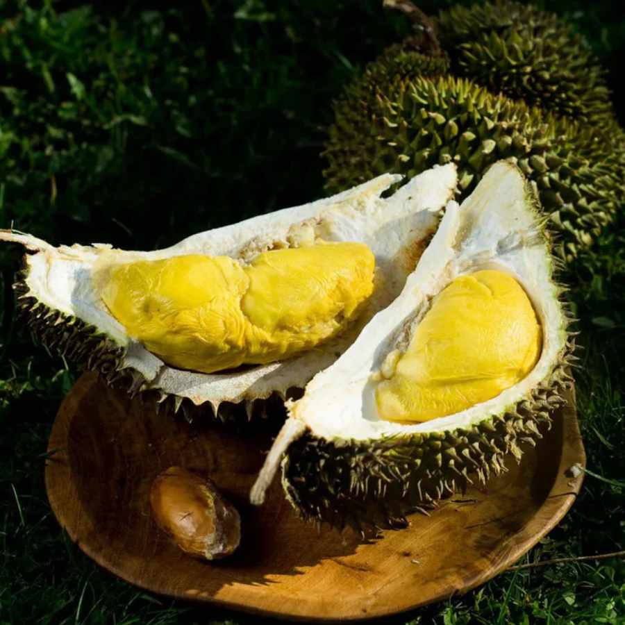 কান ইয়ায়ো ডুরিয়ান