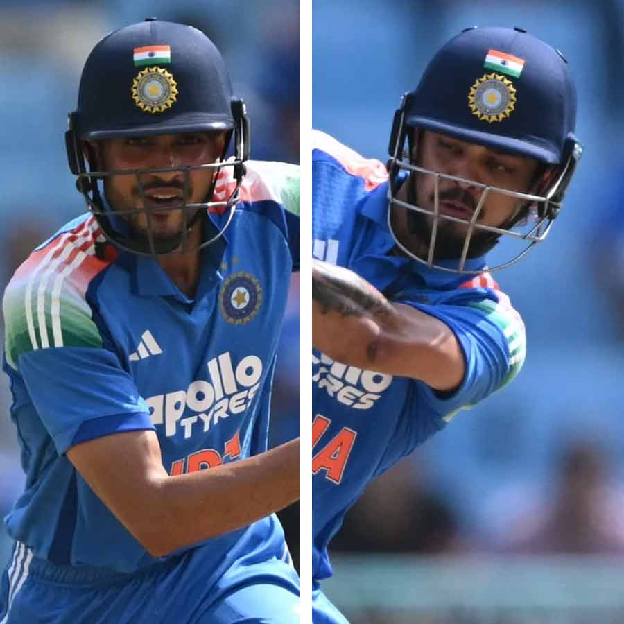 picture of cricket