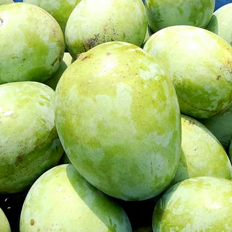 ল্যাংড়া। এর আদি উৎস উত্তরপ্রদেশের বেনারস। তবে পশ্চিমবঙ্গের মালদহ ও মুর্শিদাবাদেও অত্যন্ত উন্নত মানের ল্যাংড়া আম পাওয়া যায়। আমের এমন নামকরণের নেপথ্যে একটি প্রচলিত কাহিনি রয়েছে। শোনা যায়, বেনারসের এক খঞ্জ সাধু তাঁর কুটিরে ওই আমের গাছের পরিচর্যা করতেন। সেই সাধুর ভাঙা পায়ের কারণেই সাধারণ মানুষ আমটিকে ‘ল্যাংড়ার আম’ বলতে শুরু করেন। সেখান থেকেই ওই নাম। পরবর্তী কালে বাংলার নবাব ও জমিদারেরা ওই গাছের চারা এনে মালদহ ও মুর্শিদাবাদে রোপণ করেন।