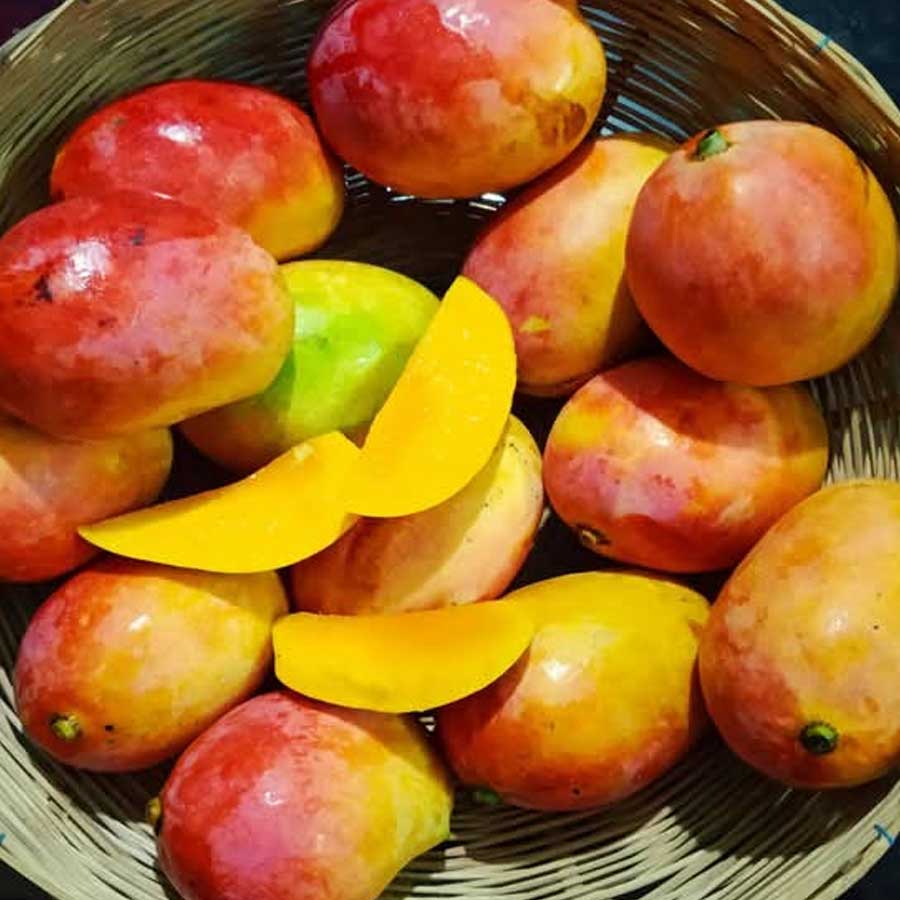 গোলাপখাস। গোলাপখাস আমের বিশেষত্ব এর সুগন্ধে। ওই আম কাটলেই গোলাপজলের গন্ধ পাওয়া যায়। দিল্লির মোগল সম্রাট এবং পরবর্তী কালে মুর্শিদাবাদের নবাবের মহলে গোলাপজলের প্রতিও বিশেষ টান ছিল। বিহার এবং বঙ্গের ওই আমে গোলাপের প্রাকৃতিক সুবাস পেয়ে তাঁরা আমটির ভক্ত হয়ে পড়েন। গোলাপখাস আমের লাল গোলাপের মতো আভা দেখে এবং তার গন্ধে মিল পেয়েই নবাবেরা ওই আমের নাম দিয়েছিলেন ‘গোলাপখাস’।