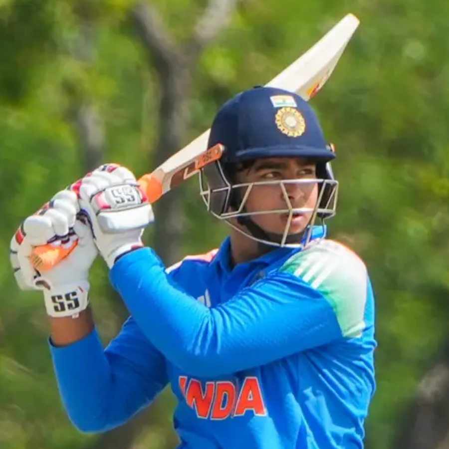 picture of cricket