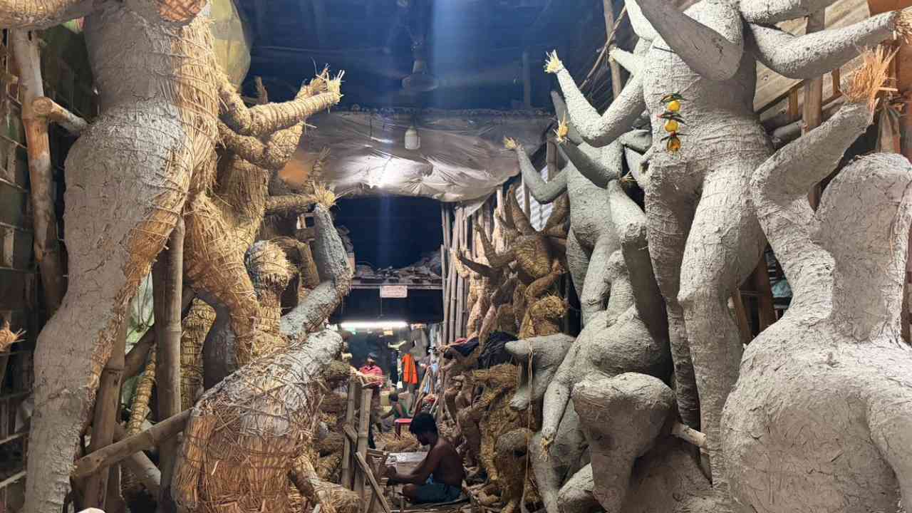 কপালে চিন্তার ভাঁজ নিয়েই প্রতিমা গড়ার কাজে মন দিয়েছেন শিল্পীরা।