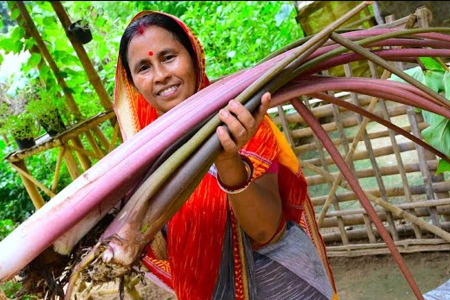কচুশাক: নিরামিষ হলে ভেজানো ছোলা, নারকেলকুচি বা কোরা দিয়ে কচুর ডাঁটা দিয়ে রান্না হয়। আমিষে ইলিশ মাছের মাথা দিয়ে কচুশাক রাঁধা হয়। আয়রন, ভিটামিন এ এবং ক্যালশিয়ামের চমৎকার উৎস। তাই রক্তাল্পতা প্রতিরোধ করা ও দৃষ্টিশক্তি বাড়ানোর জন্য খুব উপকারী এই শাক।