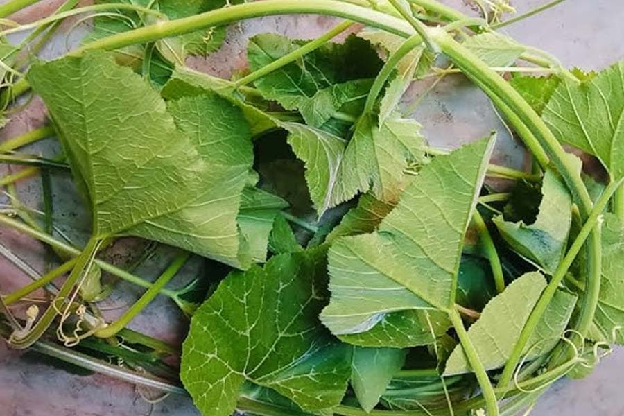 কুমড়োশাক: শাকের ভর্তা বানাতে গেলে কুমড়োশাকই উপযুক্ত। কুমড়ো শাক ভাপিয়ে তার সঙ্গে রসুন-পেঁয়াজ-শুকনো লঙ্কা ভেজে হাতে মেখে বানানো হয় এই ভর্তা। এতে ভিটামিন এ আর সি রয়েছে, যা দৃষ্টিশক্তি উন্নত করে এবং ত্বক ও চুলের ঔজ্জ্বল্য বাড়ায়। ক্যালশিয়াম ও ফসফরাস হাড় ও দাঁত মজবুত রাখে।