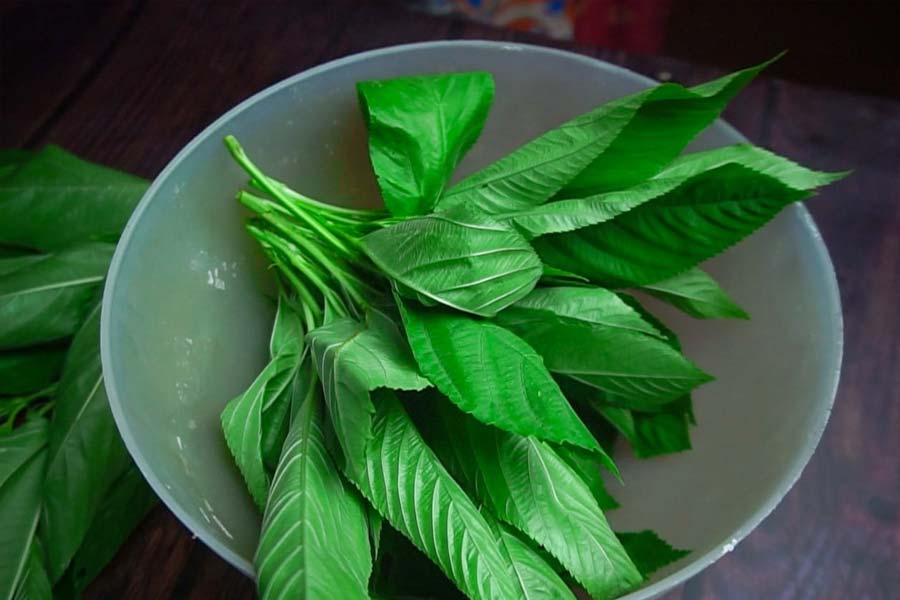 পাটশাক: পেঁয়াজ-রসুন দিয়ে শাকভাজা যেমন খেতে পারেন, তেমনই বেসনে ডুবিয়ে ভেজে বড়া হিসেবেও খান অনেকে। উচ্চ ফাইবার ও ভিটামিন সি সমৃদ্ধ হওয়ায় হজমশক্তি বাড়ায়, কোষ্ঠকাঠিন্য দূর করে এবং রোগ প্রতিরোধ ক্ষমতা বাড়ায় এই শাক। এতে থাকা প্রচুর আয়রন রক্তাল্পতা দূর করে। অ্যান্টি-অক্সিড্যান্ট ও ম্যাগনেশিয়াম রক্তচাপ নিয়ন্ত্রণ করে অনিদ্রা দূর করতে এবং হার্ট ভাল রাখে।