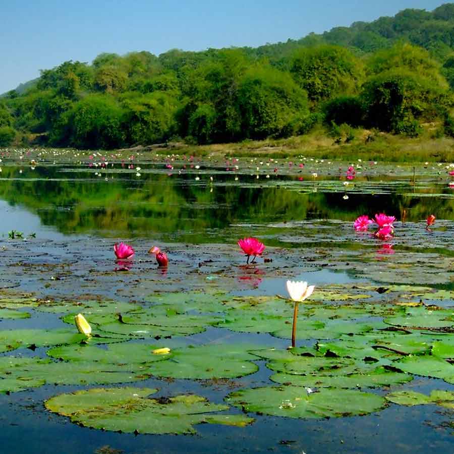 ঘুরে আসুন পড়শি রাজ্যের স্বল্পচেনা এক ঠিকানা থেকে।
