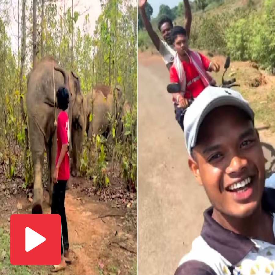 Video shows youths from Odisha provoke elephants in Simlipal and film it for content, netizens show anger