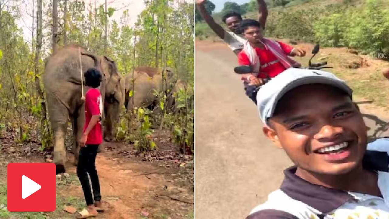 Video shows youths from Odisha provoke elephants in Simlipal and film it for content, netizens show anger