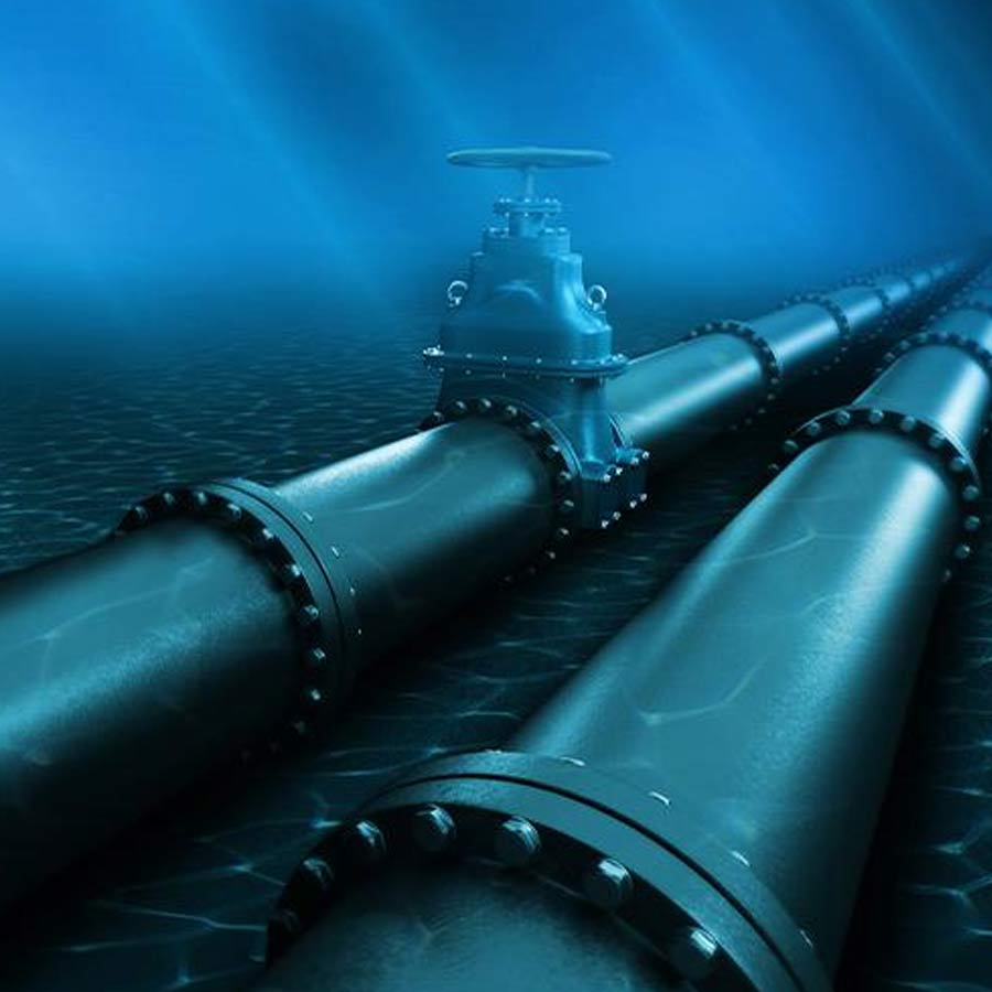According to reports a Ukrainian erotic model was at the centre of the Nord Stream sabotage mystery