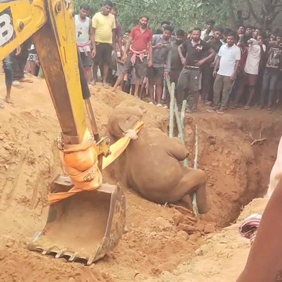 নয়াগ্রামে পাতকুয়ো থেকে তোলা হচ্ছে হাতির শাবকের দেহ।