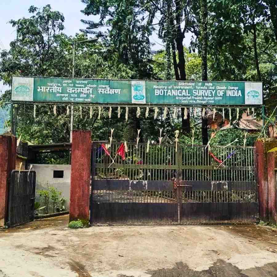বোটানিক্যাল সার্ভে অফ ইন্ডিয়া (বিএসআই)।