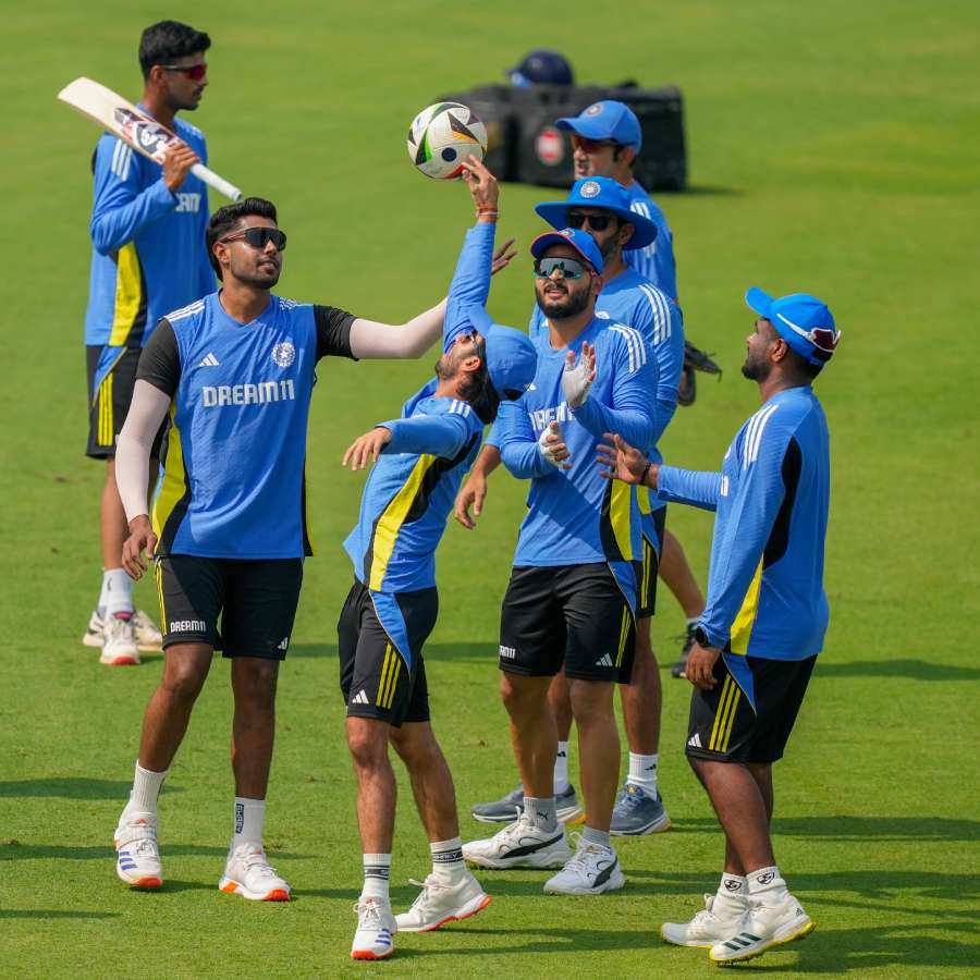 picture of cricket