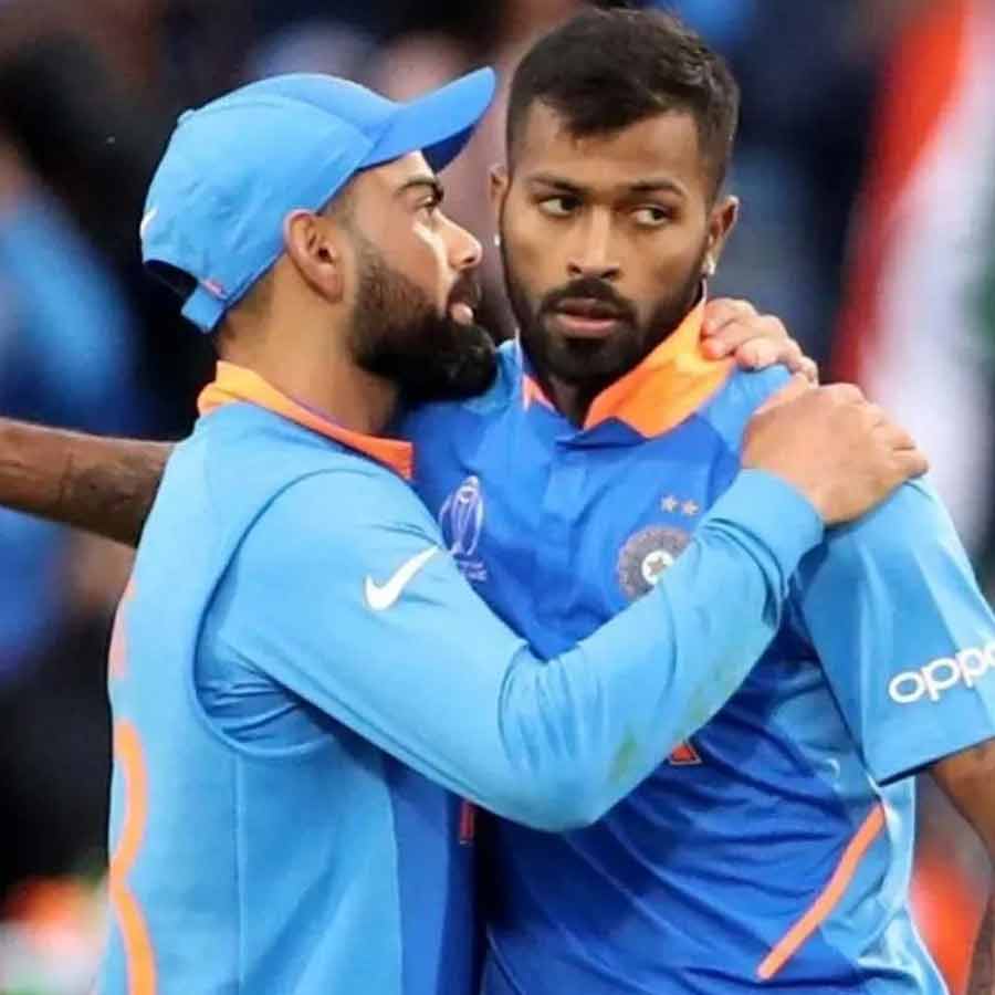 picture of cricket