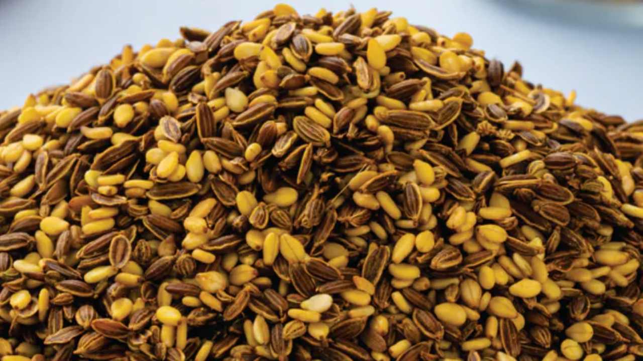 কোন কোন উপকরণ প্রয়োজন?