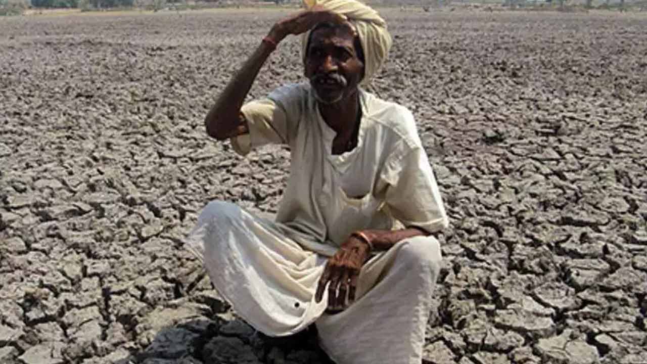 বৃষ্টির অপেক্ষায়। ছবি: পিটিআই।
