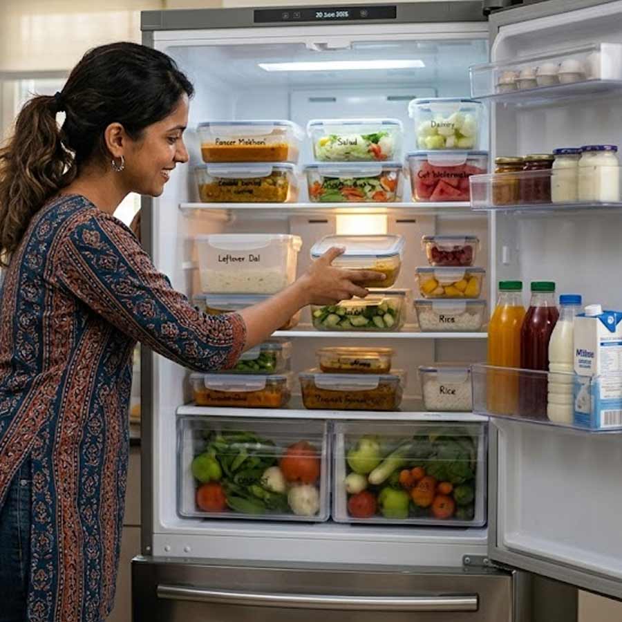 জামাইষষ্ঠীর বাড়তি খাবার কী ভাবে ফ্রিজে ধরাবেন?
