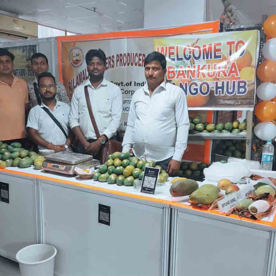 Popularity of Amrapali and Mallika mangoes of Bankura at Delhi