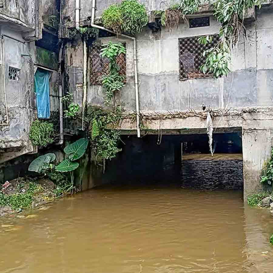 নর্দমার উপরে এ ভাবেই তৈরি হয়েছে অবৈধ নির্মাণ। শুরু হয়েছে তদন্ত। হাসিমারায়।