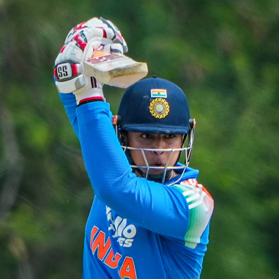 picture of cricket