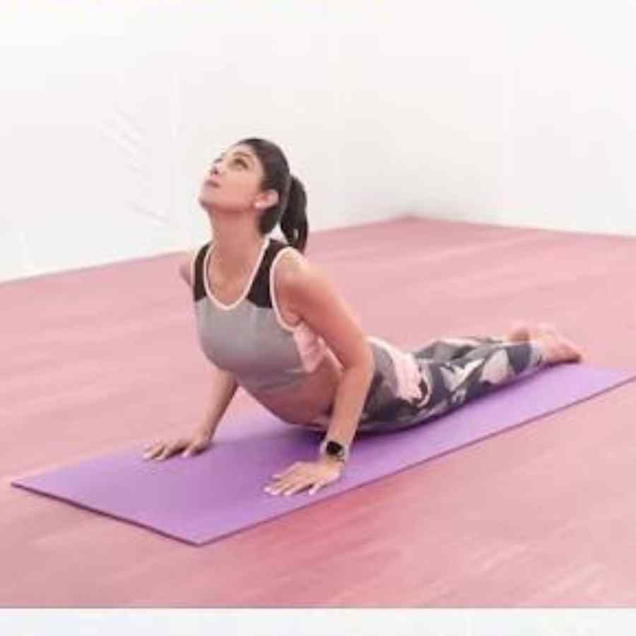 ভুজঙ্গাসন অভ্যাস করছেন শিল্পা শেট্টি। 