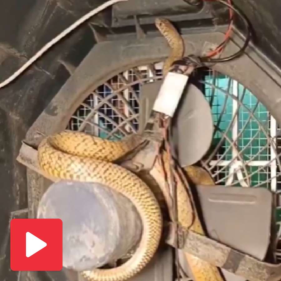Video shows a snake enters an air cooler in summer time