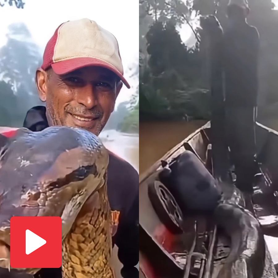 Video shows man throw net in the river to catch fish, anaconda got trapped instead