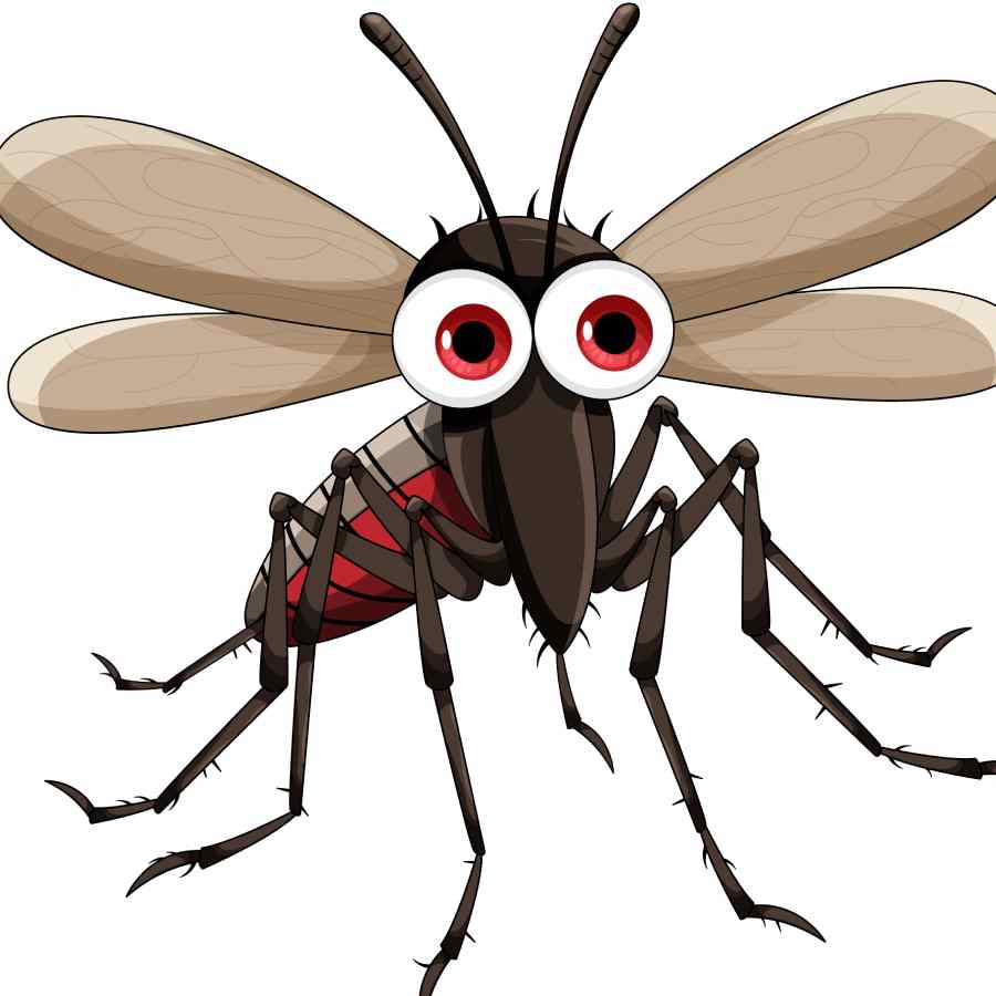 The Fascinating Secret Life of Mosquitoes