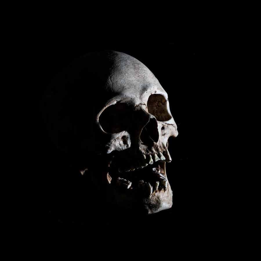 Oldest known evidence of plague traced 5000 years before the black death dgtl