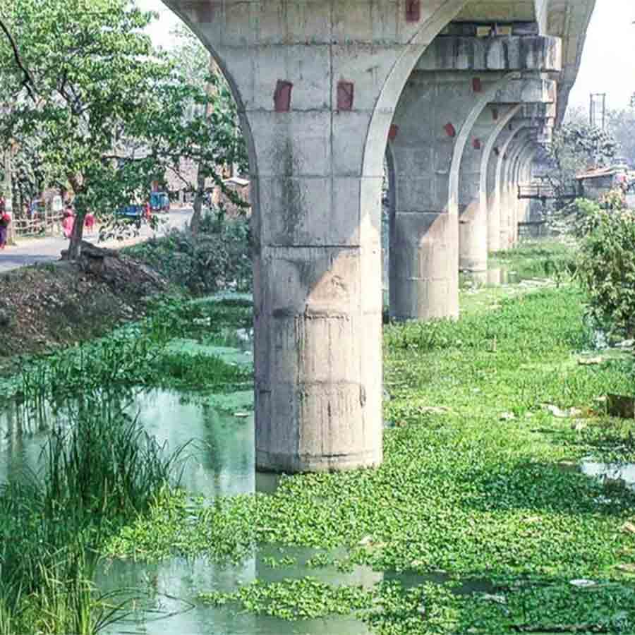রুদ্ধ: আদিগঙ্গার মাঝ দিয়ে মেট্রো রেলব্রিজের স্তম্ভ