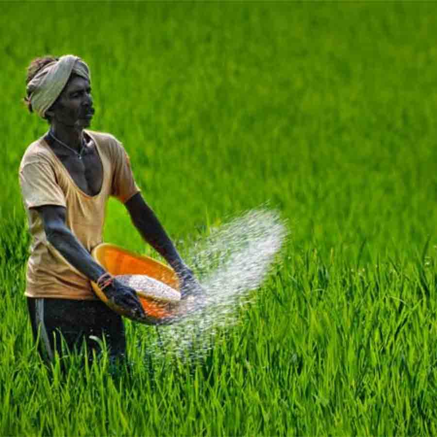 Kharif cultivation at risk