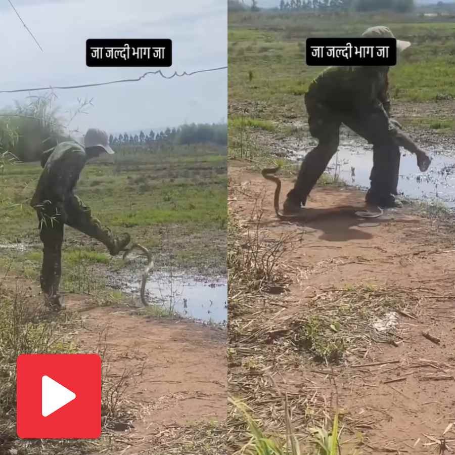 Video shows man does bizarre thing with a snake, internet stunned