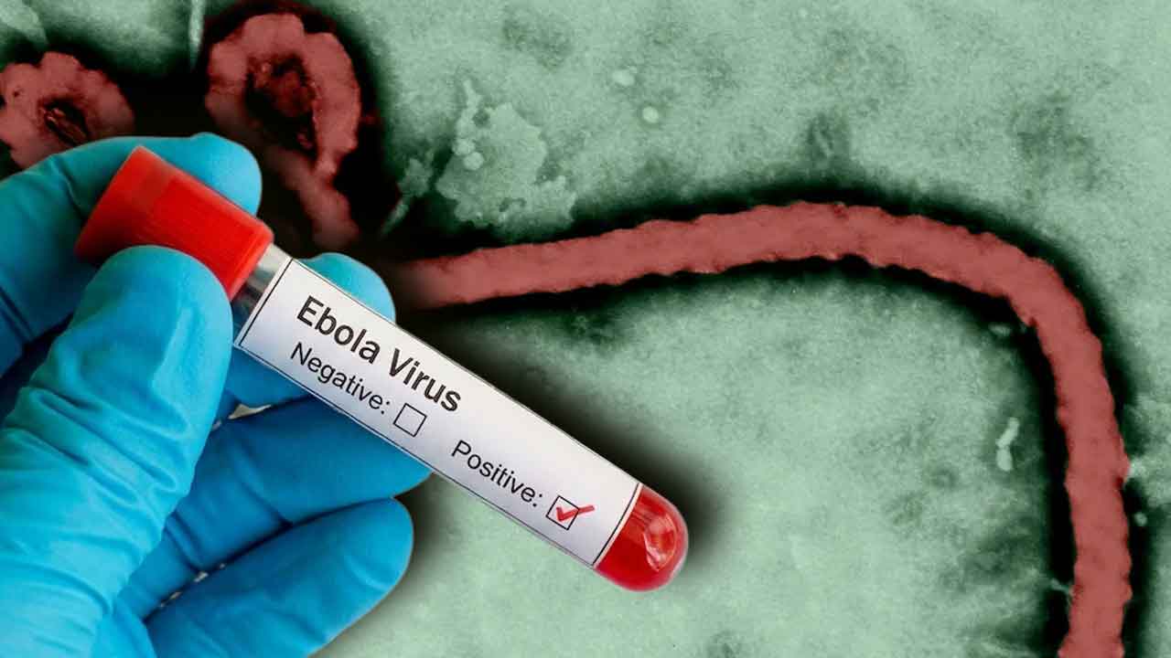 Ebola Cases Cross 600, But India Faces No Immediate Threat, Assures scientist Soumya Swaminathan