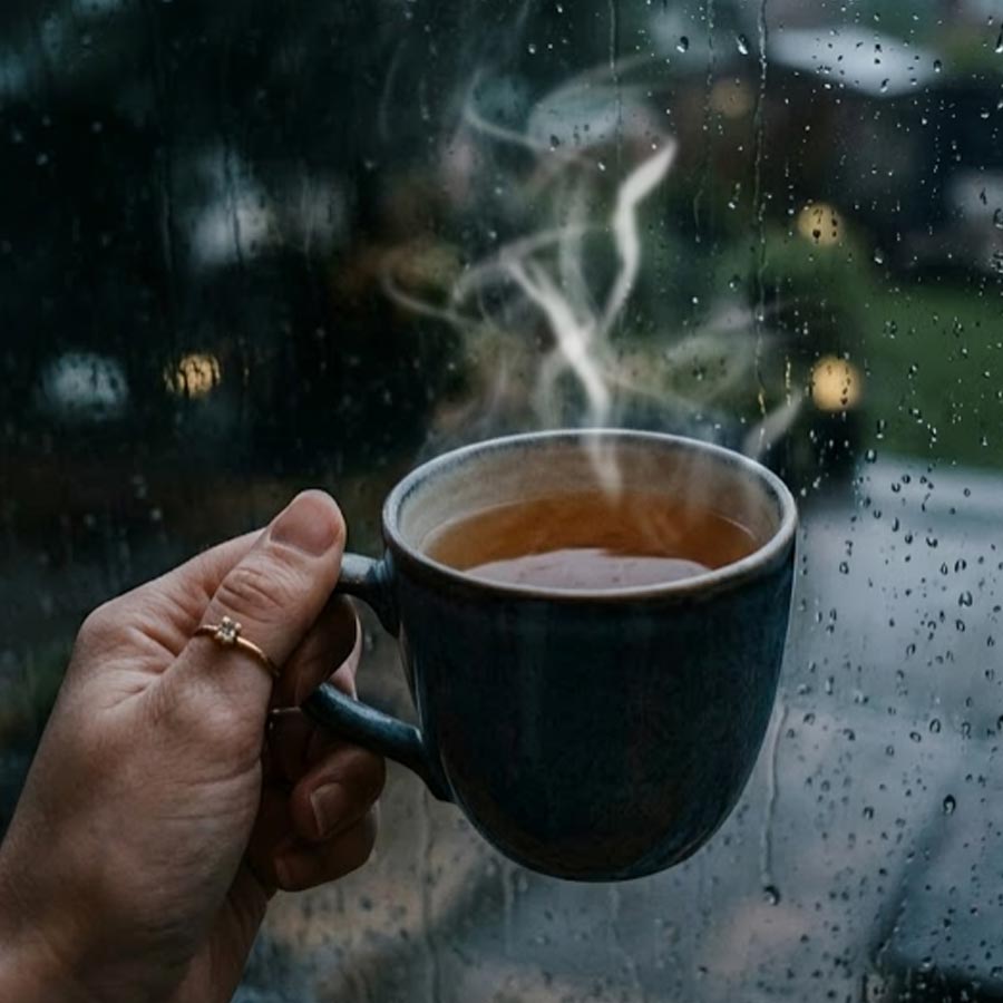 7 Strong Tea Varieties to Enjoy During the Monsoon Season dgtl