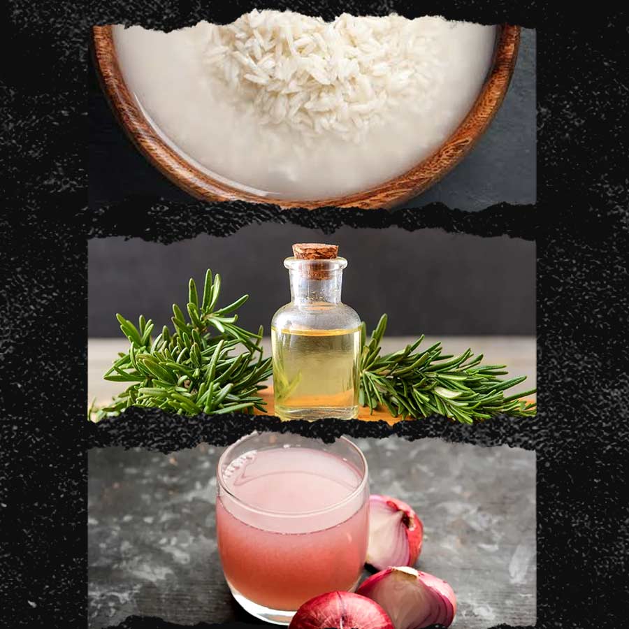 Rice water vs Rosemary oil vs Onion juice, which is better for hair growth dgtl