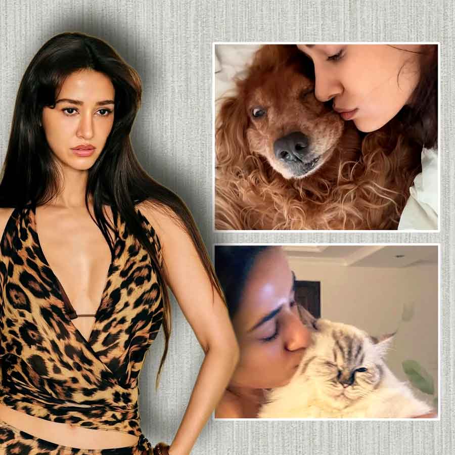Disha Patani has lost her pet cat and dog on the same day dgtl